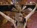 cristo14